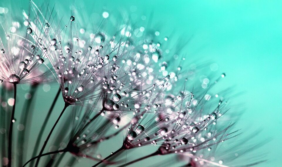 10 Top-Performing 17-Inch Laptops Under $1000: A Buyer’s Guide