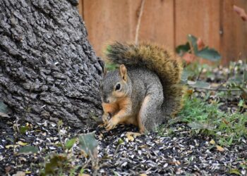 Top 10 Tattoo Stencil Printers: Choosing the Best for Your Tattoo Studio