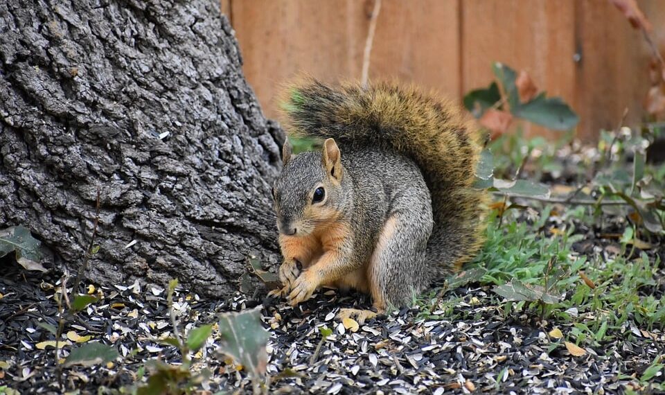 Top 10 Tattoo Stencil Printers: Choosing the Best for Your Tattoo Studio