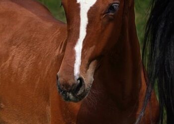 The Top 10 Printers for Crafting Beautiful Wedding Invitations