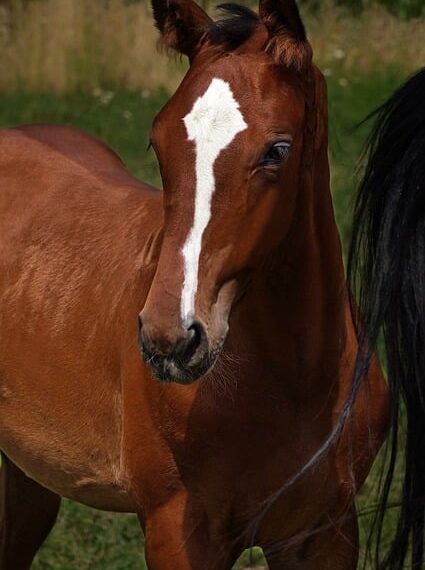 The Top 10 Printers for Crafting Beautiful Wedding Invitations